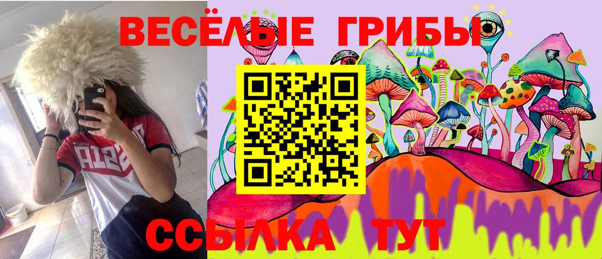 Торжок  Псилоцибиновые грибы ЛСД  что такое наркотик  Вход с VPN  Галлюциногенные грибы GOLDEN TEACHER 